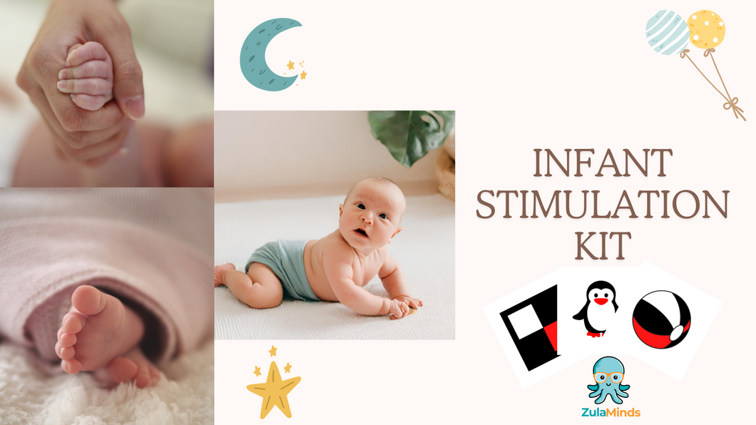 ZulaMinds Infant Stimulation Kit - 12 card pack Kit