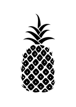 Load image into Gallery viewer, ZulaMinds Infant Stimulation Kit - Sample card image - Black and white Pineapple
