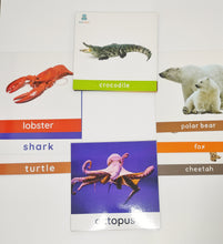 Load image into Gallery viewer, ZulaMinds Sea creatures Flash Cards
