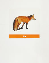 Load image into Gallery viewer, ZulaMinds Animal Flash cards - Sample card
