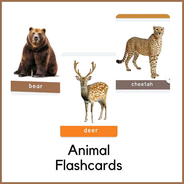 ZulaMinds Animal and Fruit Flashcards